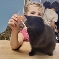 Pomáháme spolu: Vánoční trh přinesl radost i pomoc
