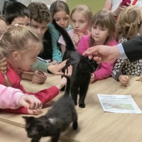 Pomáháme spolu: Vánoční trh přinesl radost i pomoc