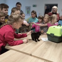 Pomáháme spolu: Vánoční trh přinesl radost i pomoc