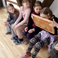 Čím vším včely léčí? Děti ze školní družiny to už vědí!