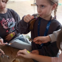 Čím vším včely léčí? Děti ze školní družiny to už vědí!