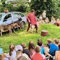 Kozy v družině? Ano! A rovnou tři.
