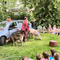 Kozy v družině? Ano! A rovnou tři.