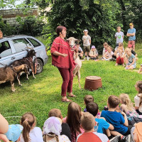 Kozy v družině? Ano! A rovnou tři.