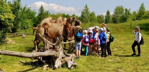 Hadi kolem krku, velbloudi na dosah – třeťáci objevovali ZOO Chleby všemi smysly
