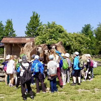 Hadi kolem krku, velbloudi na dosah – třeťáci objevovali ZOO Chleby všemi smysly