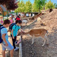 Hadi kolem krku, velbloudi na dosah – třeťáci objevovali ZOO Chleby všemi smysly