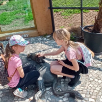 Hadi kolem krku, velbloudi na dosah – třeťáci objevovali ZOO Chleby všemi smysly
