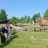 Hadi kolem krku, velbloudi na dosah – třeťáci objevovali ZOO Chleby všemi smysly
