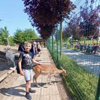 Hadi kolem krku, velbloudi na dosah – třeťáci objevovali ZOO Chleby všemi smysly