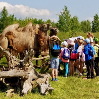Hadi kolem krku, velbloudi na dosah – třeťáci objevovali ZOO Chleby všemi smysly