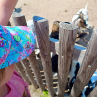 Hadi kolem krku, velbloudi na dosah – třeťáci objevovali ZOO Chleby všemi smysly