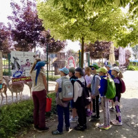 Hadi kolem krku, velbloudi na dosah – třeťáci objevovali ZOO Chleby všemi smysly