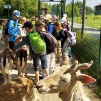 Hadi kolem krku, velbloudi na dosah – třeťáci objevovali ZOO Chleby všemi smysly