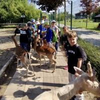 Hadi kolem krku, velbloudi na dosah – třeťáci objevovali ZOO Chleby všemi smysly